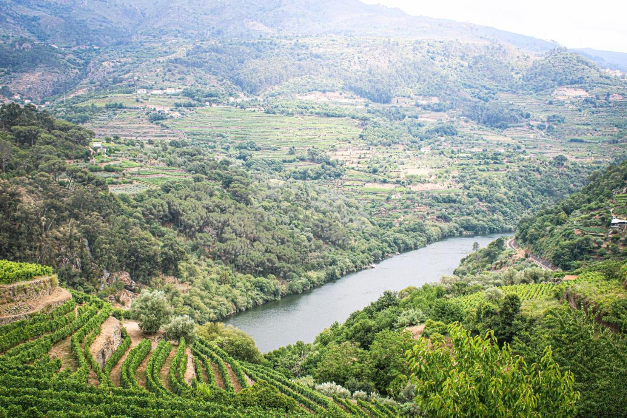 Casa Avos D'Ouro - Barqueiros, Mesao Frio, Douro Villa Luaran gambar